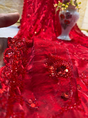 RoyalDesigner-Pari X Red-Saree